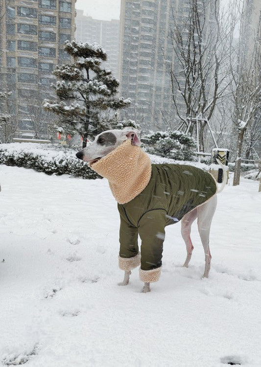 HKM-3056573 Super Thick Lamb Fleece Coat for Greyhounds and Whippets - Casual Two-Wear Design