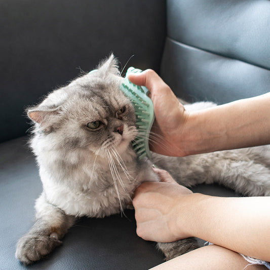 HKM-3125309 Cat Massage Comb - Rubber Cactus Rubbing Brush for Itching Relief and Play
