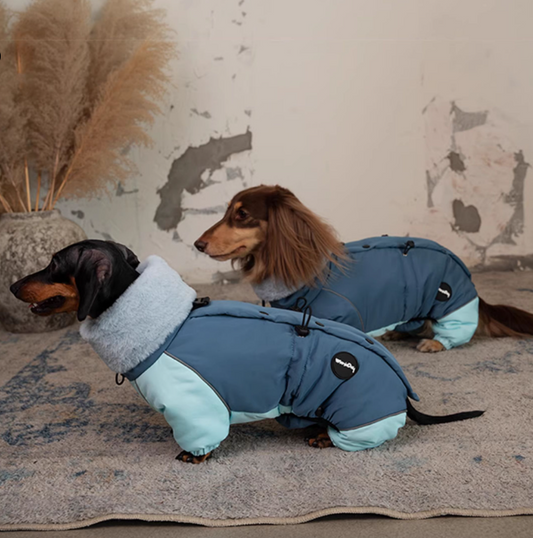 HKM-3270845 Warm Lambswool Cotton-Padded Jacket for Dogs - Autumn and Winter Four-Leg Design