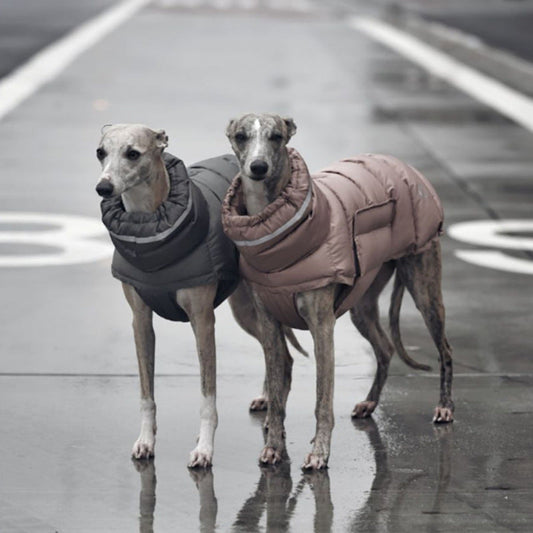 HKM-3571389 Thickened Thermal Vest for Dogs - 100% Recycled Polyester, Available in Dark Gray and Pink