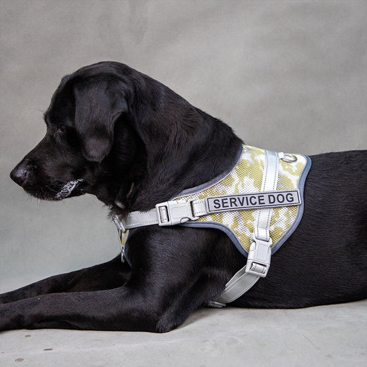 HKM-359443 Colorful Reflective Anti-Strangulation Pet Harness for Neck Protection