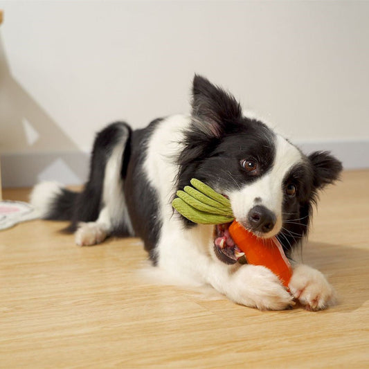 HKM-3621821 Durable Rubber Carrot Toy for Small and Medium Puppies with Sound Feature