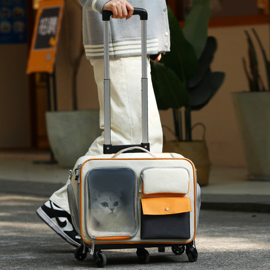 HKM-3701309 Stylish Medium Hardness Cat Backpack Trolley Bag - 32L Oxford Material
