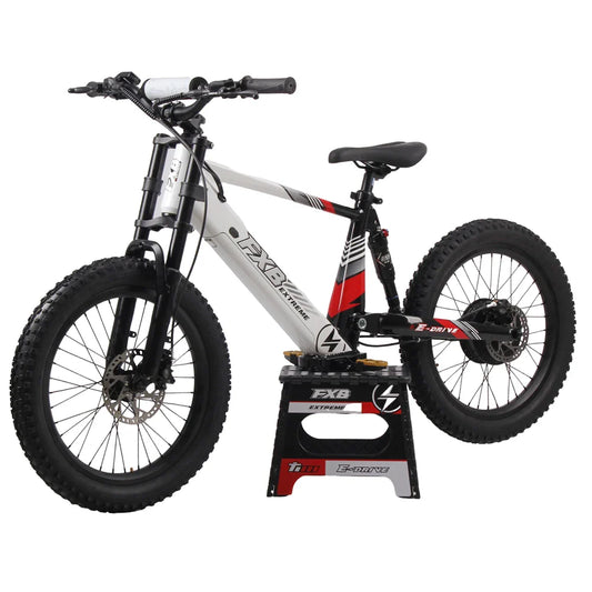 HKM-377619 20 Inch Fat Tire Electric Mountain Bike, 800W 1200W, 36V 48V, 3 Speed, Hydraulic Disc Brakes, Rear Suspension
