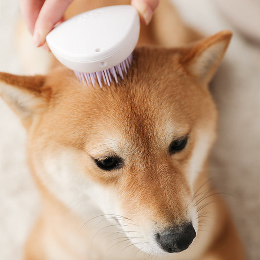 HKM-3896509 Pet Hair Removal Comb for Dogs and Cats - Efficient Hair Cleaner in Assorted Colors