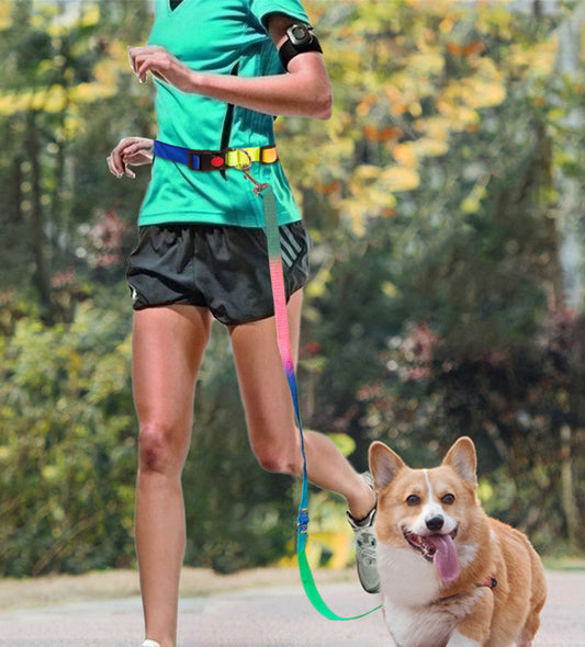 HKM-3954237 Hands-Free Pet Shoulder Traction Lead - Adjustable Nylon Harness, Black, 2.5cm Width, 180cm Length, Fits Waist 75-115cm