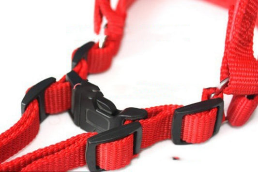 HKM-3969725 Soft Lining Polypropylene Foam Pet Harness with Traction Belt in Blue, Black, and Red