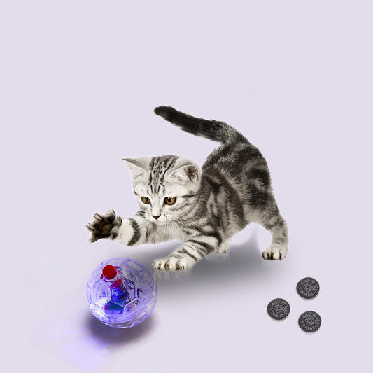 HKM-427283 Interactive Glowing Cat Toy Ball - Durable Transparent Plastic Training and Exercise Ball for Pets