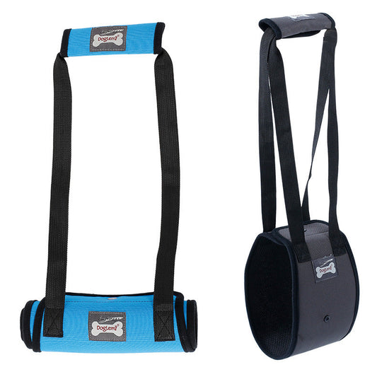HKM-4302653 Dog Leg Injury Protection Walking Belt - Oxford Cloth & Mesh - Size S, M, L, XL - Blue & Gray Options