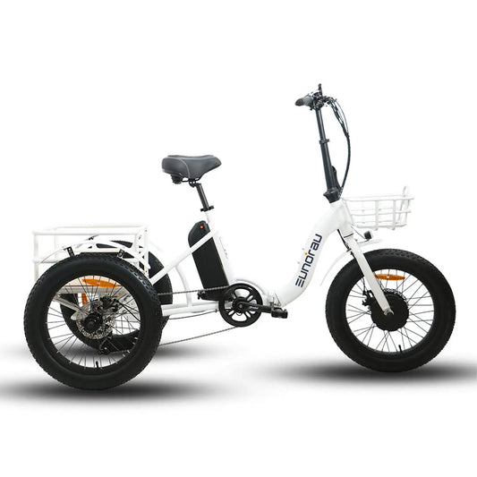 HKM-436307 Electric Tricycle with 48V 500W Motor and 7-Speed Gear System, 20-Inch Wheels, Disc Brakes