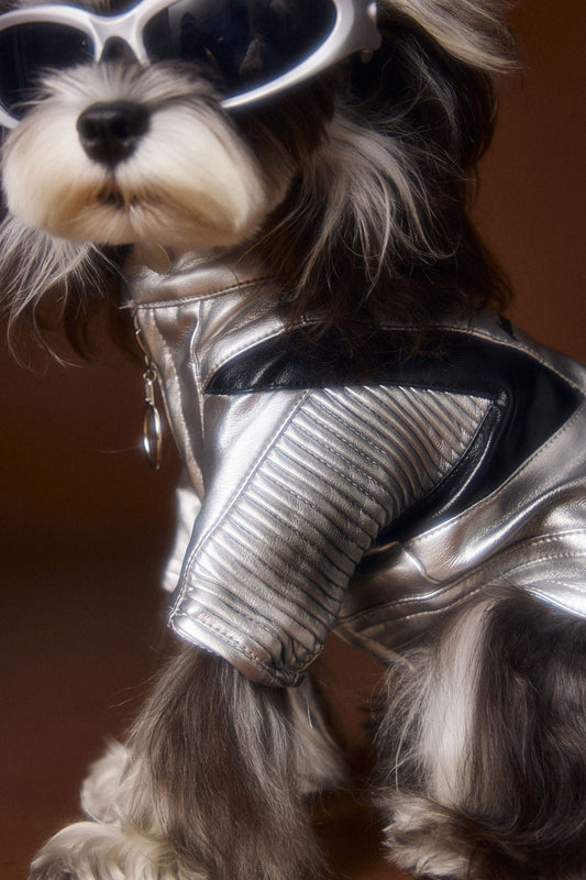 HKM-4581565 Handsome Distressed Silver Leather Coat for Teddy Schnauzer Bichon - Available in Multiple Sizes