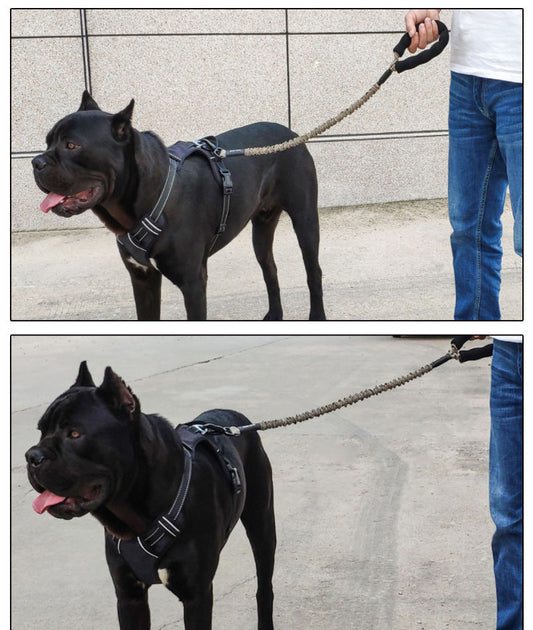 HKM-4684861 Elastic Traction Rope for Medium and Large Dogs - High Elasticity and Explosion-Proof Design