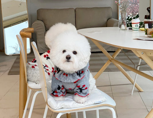 HKM-4724157 Pomeranian Small Puppy Two-Legged Spring & Autumn Clothes in Gray and White