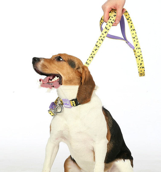 HKM-4783165 Durable Yellow Polyester Pet Traction Rope for Cats and Dogs, 120cm Length