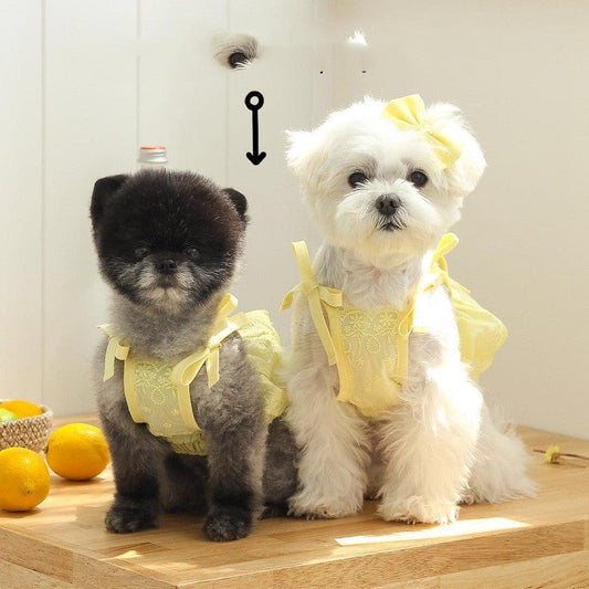 HKM-4795453 Charming Lace Dog and Cat Skirt with Bowknot Detail in Multiple Colors