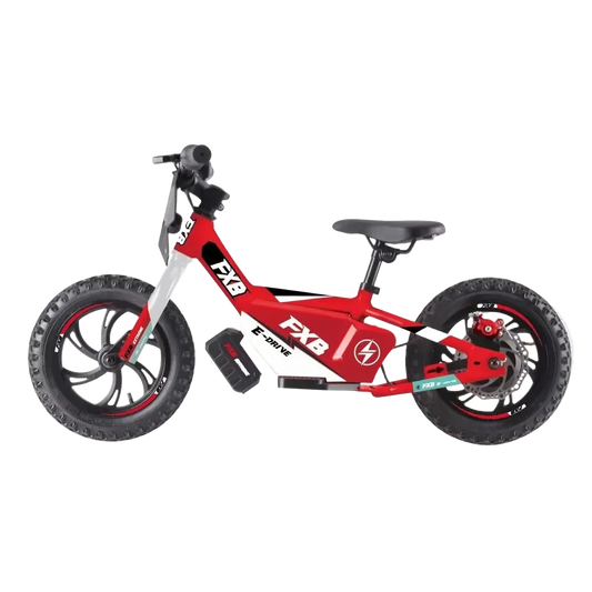 HKM-481683 Electric Mini Balance Bike for Kids, 250W 36V, 16-Inch Lightweight Self-Balancing Scooter, Disc Brake, Aluminum Frame