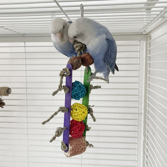 HKM-488467 Creative Parrot Corn Cob Bite String Wooden Bite Toy