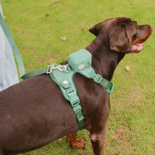HKM-4892989 Forest Green Dog Backpack Suit with Collar, Leash, and Waste Bag for Outdoor Adventures