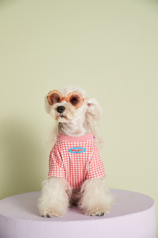 HKM-4899517 Candy Color Plaid T-Shirt in Blue, Yellow, and Pink for a Casual Summer Look - Sizes XS to XXL
