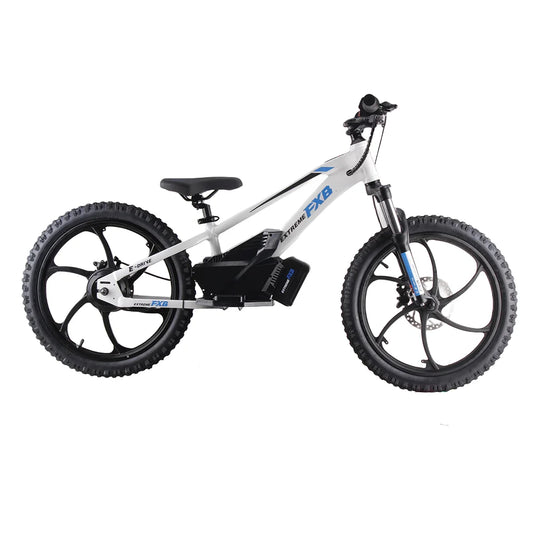 HKM-497491 20" Electric Balance Bike with 600W Hub Motor and Hydraulic Disc Brake