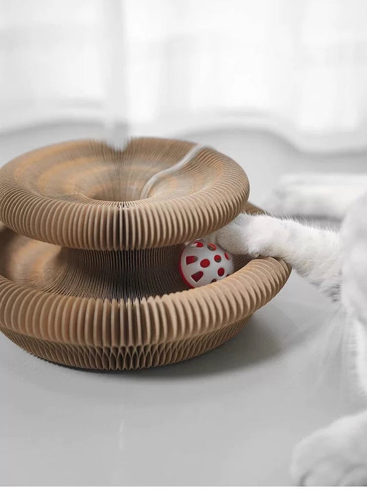 HKM-4976189 Foldable Cat Scratcher Toy for Relaxation and Play - Compact Design