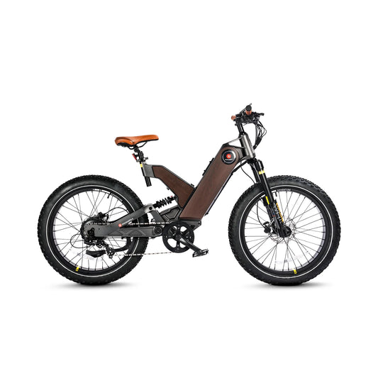 HKM-498771 750W Torque Sensor Electric Fat Tire Bike with 7-Speed Gear and 80-Mile Range