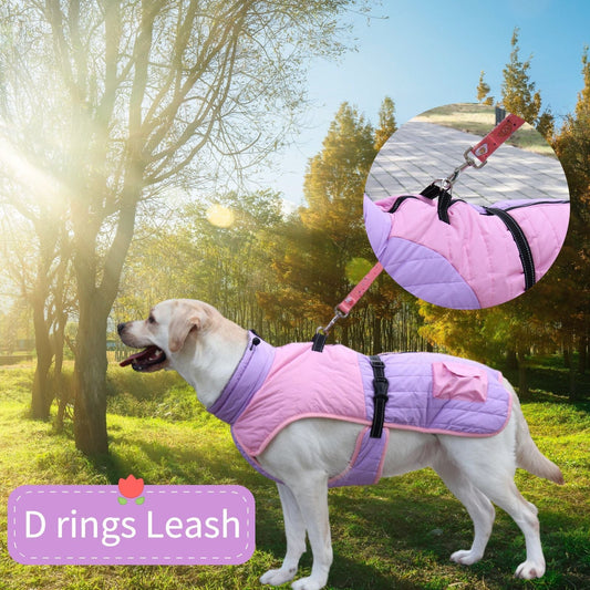 HKM-5047101 Thick Warm Dog Coat for Autumn and Winter in Multiple Colors and Sizes