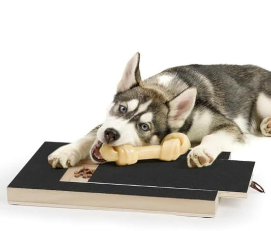 HKM-513235 Gentle Dog Nail Scratch Board with Treat Drawer for Easy Nail Trimming