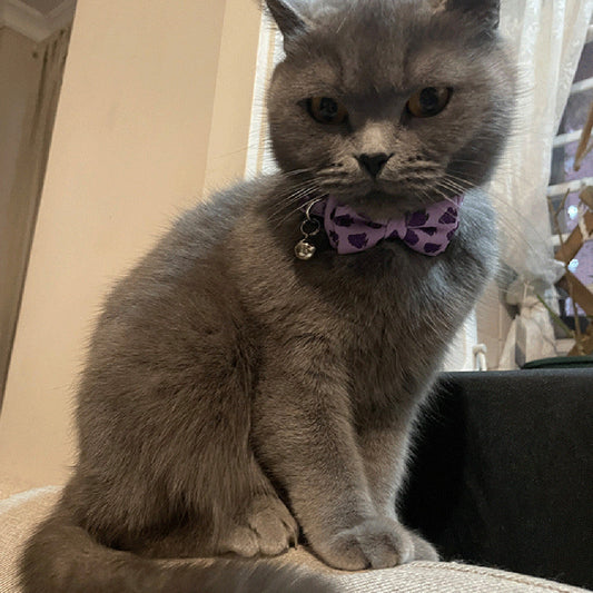 HKM-524243 Colorful Fruit Series Pet Collar and Bow Set with Triangular Binder