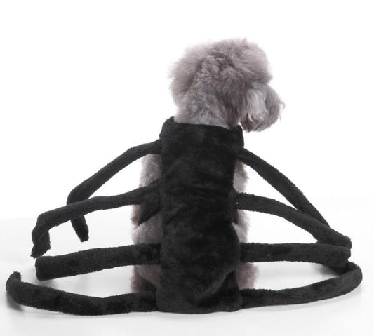 HKM-5302077 Dog Spider Costume for Pets - Unique Design, Multiple Sizes Available