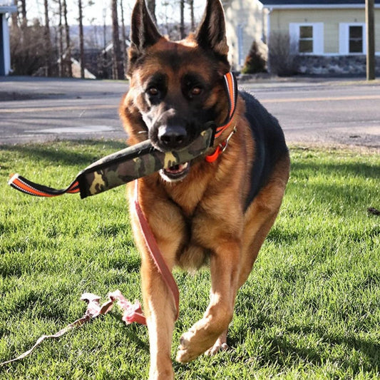 HKM-5439549 Reflective Jute Dog Training Bite Stick with Yellow Edge - 55cm