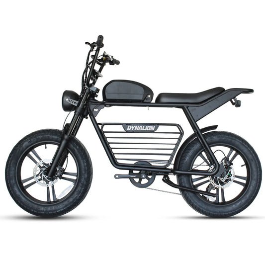 HKM-545427 1000W Electric Mountain Bike with Steel Frame, Disc Brakes, and 20" Fat Tires