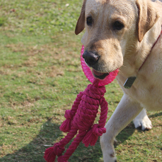 HKM-557331 Big Dog Interactive Hemp Rope Knot Toy with TPR Chew, 45x30x4.6cm