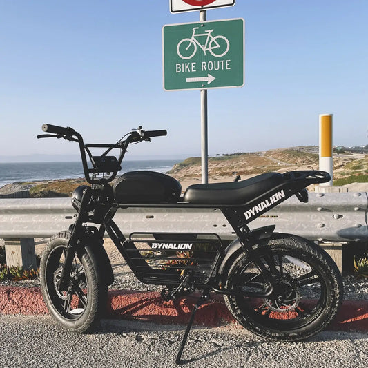 HKM-562387 Long Range 48V Fat Tire Electric Mountain Bike, 20" Wheels, 1000W Motor, 7-Speed Gear System, Eco-Friendly Design