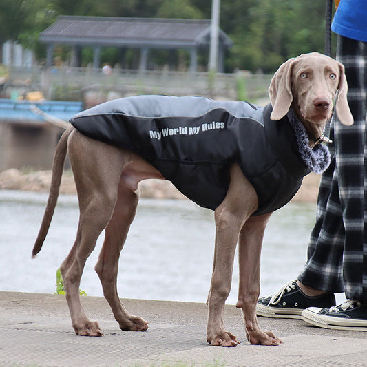HKM-5683773 Winter Pet Jacket for Dogs in Various Colors and Sizes
