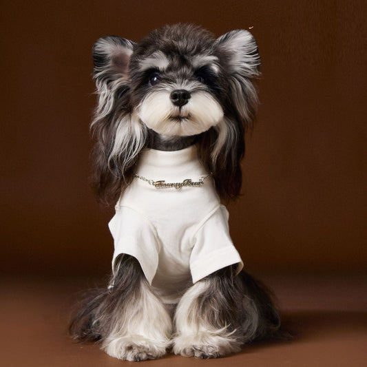 HKM-6030141 Handsome Teddy Schnauzer Bear Solid Color Bottom Shirt with Necklace for Pets