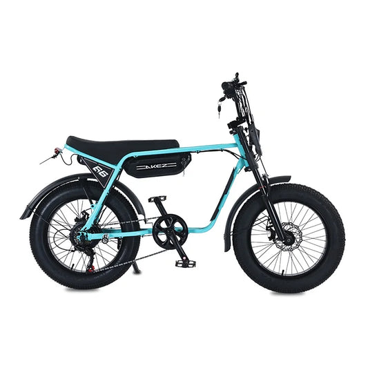 HKM-613267 Akez 20 Inch 750W Electric Fat Tire Mountain Bike for Adults, Ideal for City and Off-Road Riding
