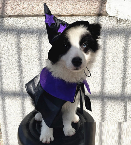 HKM-6193981 Halloween Cloak and Hat Set for Cats and Small to Medium Dogs