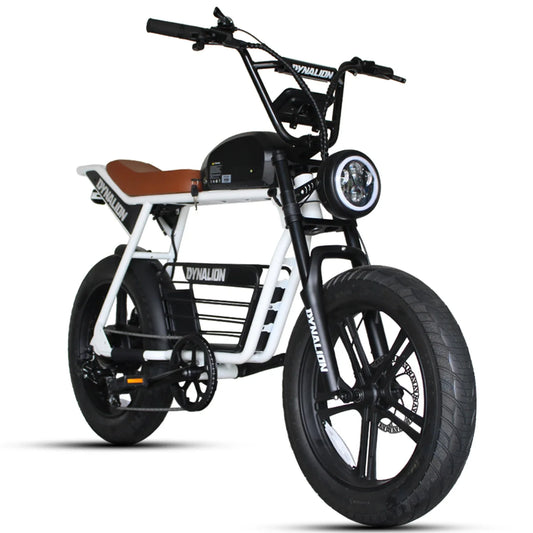 HKM-627923 20 Inch Electric Mountain Bike with 7-Speed Gears and 1000W Rear Hub Motor, 48V 16Ah Battery, and Disc Brakes
