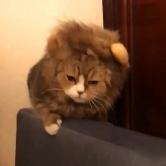 HKM-6338237 Cat Lion Head Hat Costume for Pets - Fun Dress-Up Accessory for Cats and Dogs