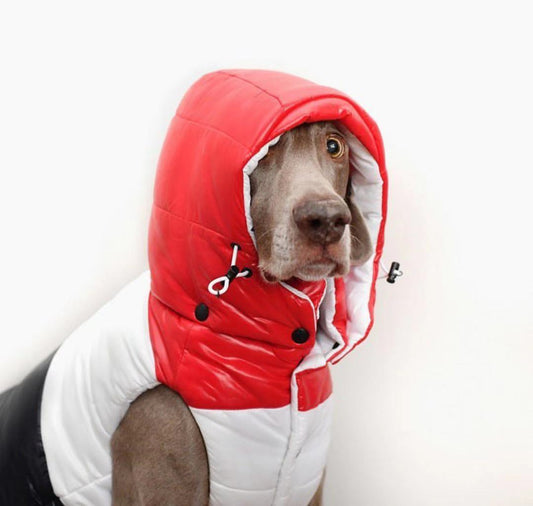 HKM-6366141 Autumn and Winter Down Vest for Pets - Stylish, Comfortable, Multiple Sizes Available