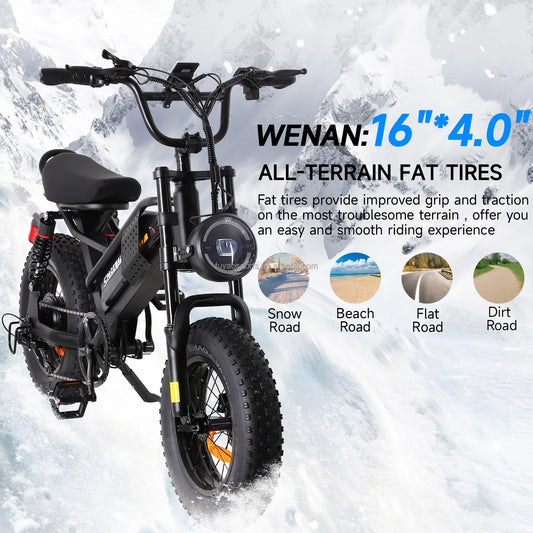 HKM-637523 750W 16-Inch Fat Tire Electric Mountain Bike with Dual Suspension, Integrated Battery, and LCD Display