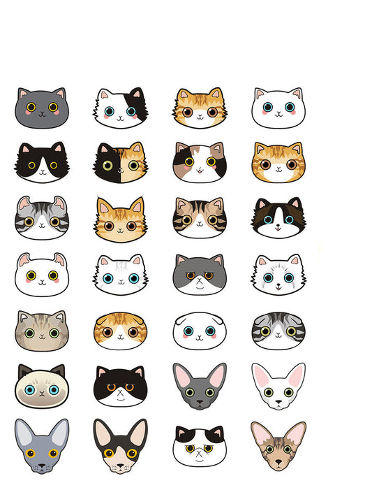 HKM-6467901 Customized Cat Identity Card with Bell - Short and Long Hair Options, Folded Ears Available, XS & S Sizes