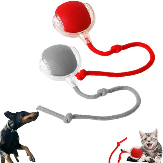 HKM-653523 Interactive Automatic Rolling Cat Toy Ball with USB Charging for Stimulating Play