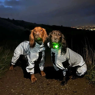 HKM-6560957 Reflective Waterproof Raincoat for Dogs - Available in Multiple Sizes
