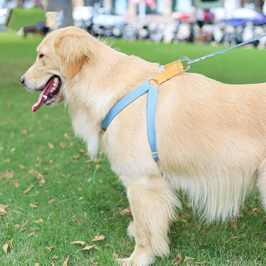 HKM-6602173 Drawstring Adjustable Chest Strap Dog Leash with Polyester Cotton Material