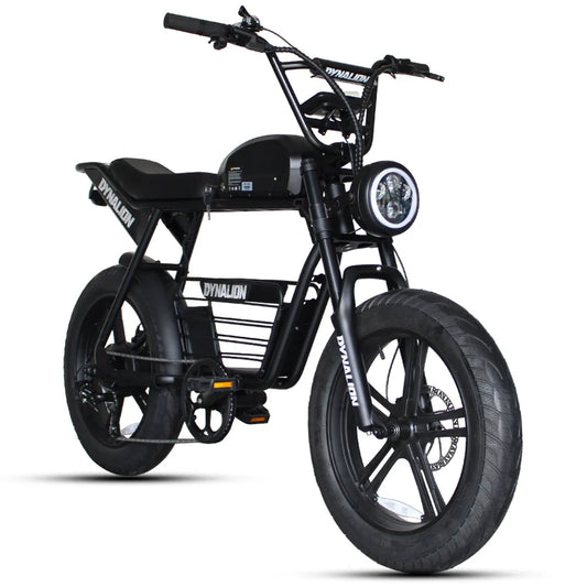 HKM-661843 Electric Fat Tire Mountain Bike with 1000W Brushless Motor and 7-Speed Gears