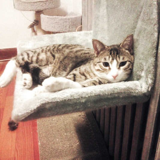 HKM-6640061 Super Portable Cat Nest with Solid Steel Frame and Removable Washable Cover, Available in Multiple Colors