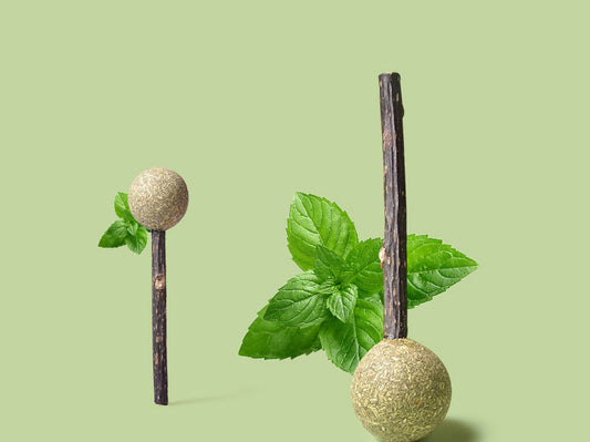 HKM-6735549 Catnip Lollipop Toy for Cats ¨C Organic Catnip Molar Stick