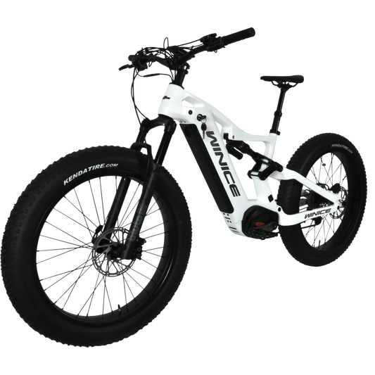 HKM-696531 DENGFU E-Bike Snow Bike E56 with Bafang M620 Motor and Full Suspension Carbon Frame